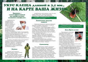 О работе «горячей линии» по профилактике КВЭ. О работе «горячей линии» по профилактике КВЭ.